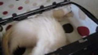 Here's A New Use For Your Old PlayStation 3